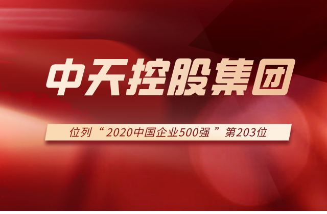 evo视讯集团列2020中国企业500强第203位！